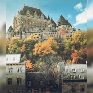 Meet your Posher, Habiba